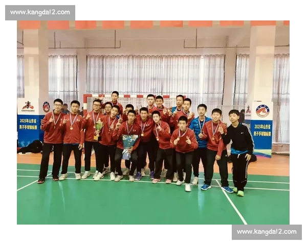 从拼搏到荣耀的巅峰之路手球冠军背后的热血与坚持故事